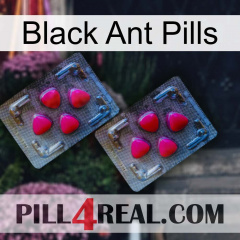 Black Ant Pills 14